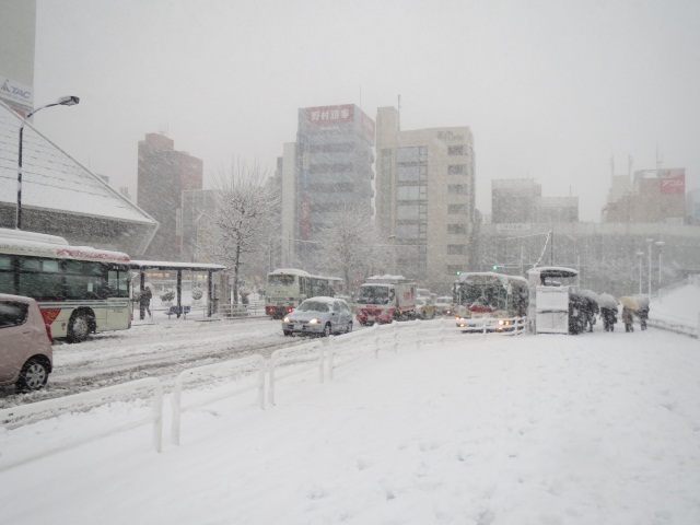 初雪中野 006.jpg
